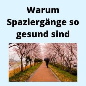 Warum Spaziergänge so gesund sind